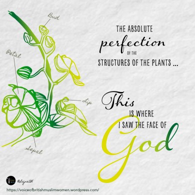 God - Plants
