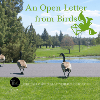 Open letter from the birds