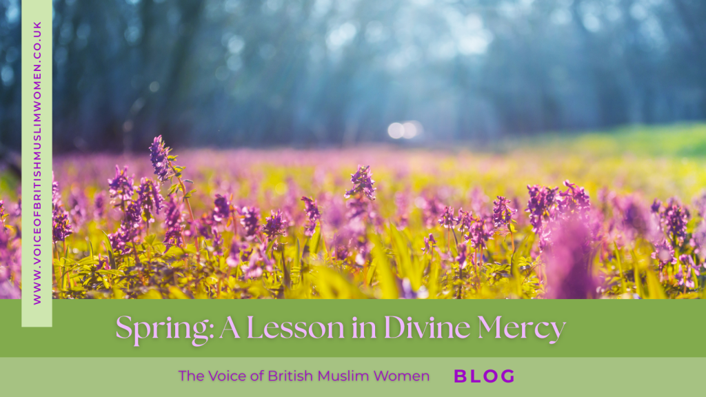 Spring: A Lesson in Divine&nbsp;Mercy