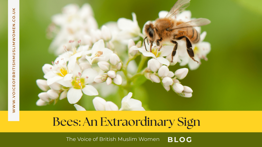 Bees: an Extraordinary Sign