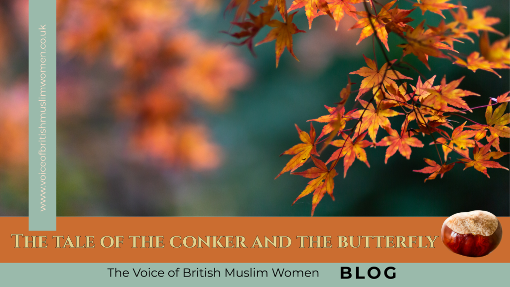 The Tale of the Conker and the Butterfly – On Welcoming Autumn