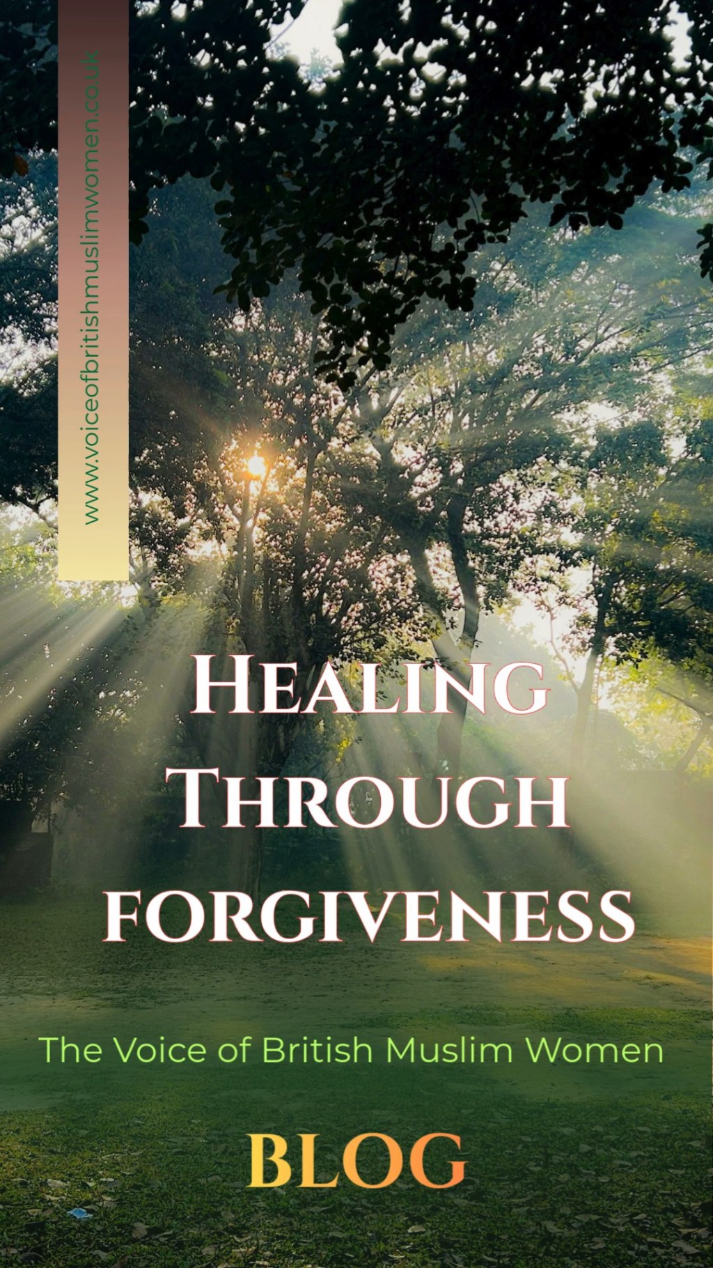 Healing Through Forgiveness
