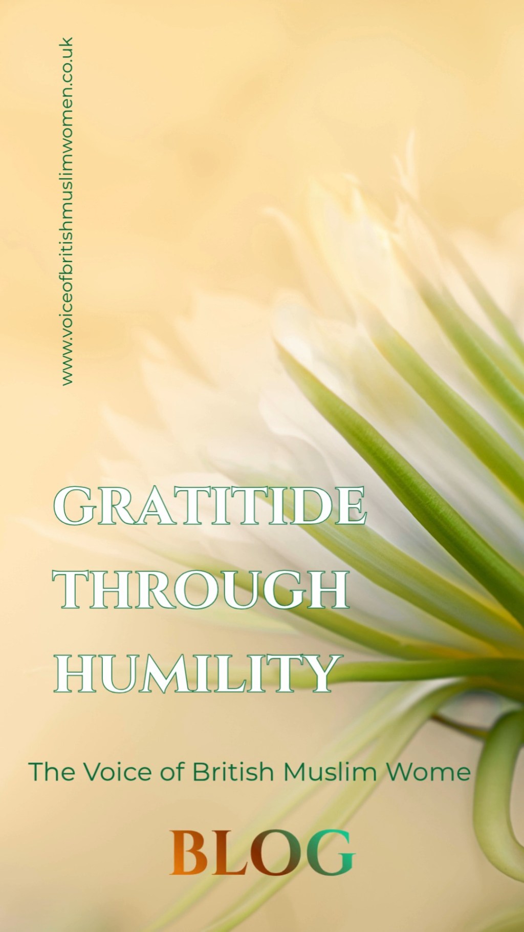Gratitude Through Humility