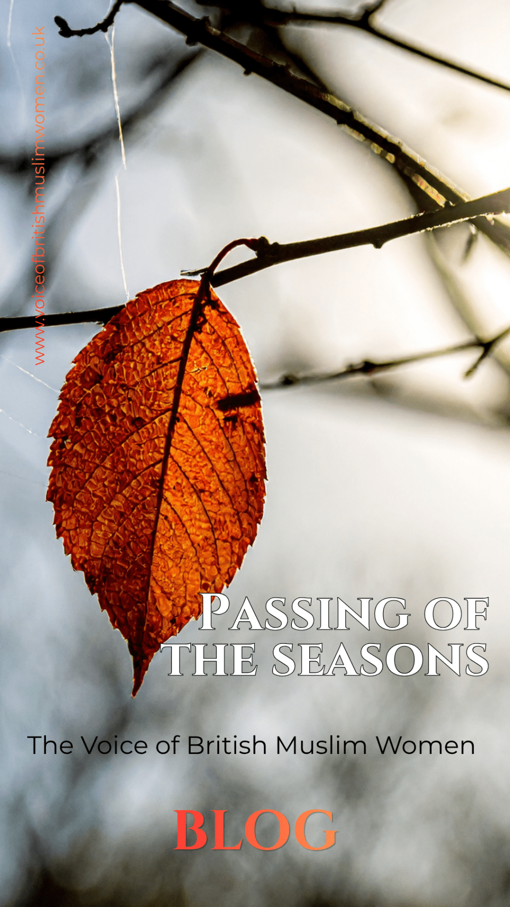 Passing Of The&nbsp;Seasons