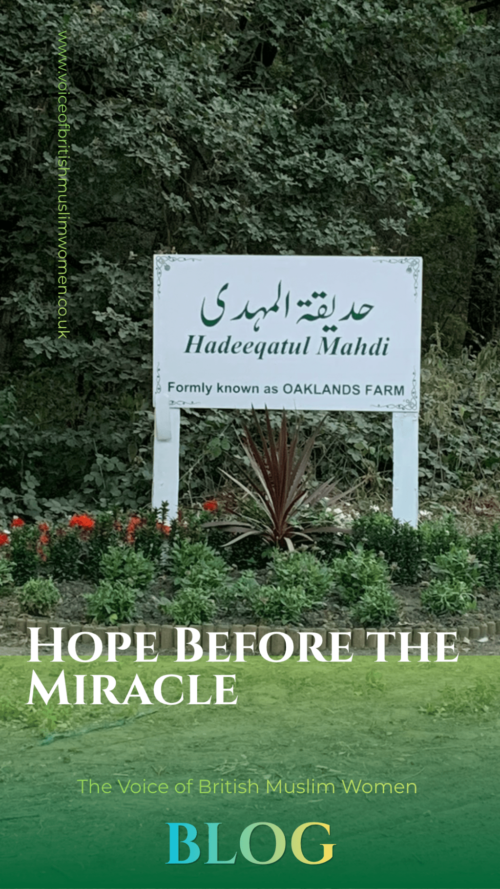 Hope Before the Miracle